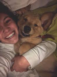 Cat mom adopts puppy 😍❤️