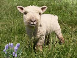 Epingle Sur Let It Grow Let It Grow Let It Grow