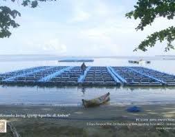 Aquatec Keramba Jaring Apung Kja Hdpe Aquatec Perusahaan Terlengkap Untuk Peralatan Kelautan Dan Perikanan Buatan Anak Bangsa Indonesia Perahu Dermaga