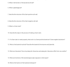 Cell walls offer protection, support and structural help for plants, algae, fungi and bacteria. 5 What Is The Function Of The Bacterial Cell Wall Chegg Com