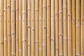 Many bamboo types make perfect privacy screens, hedges, and ornamental landscapes that are other plants find hard to mimic, as long as you keep some important things in. 17 Cheap Fence Ideas That Will Save You Money Mymove