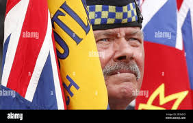 Veteran's day parade hi-res stock photography and images