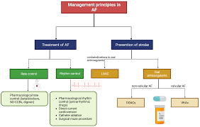 Image result for CVA Management