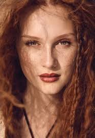 16 Ginger Dreams ideas