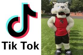 Unlike other recommendation systems, the fyp deliberately includes a range of diverse and random videos, even if they appear irrelevant to the. Follow Northeasternu On Tiktok A Social Media App That Combines Meme Able Clips With Popular Music News Northeastern