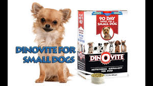 dinovite for small dogs you