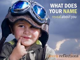 Gnat Name Meanings. What Does My Name Mean?