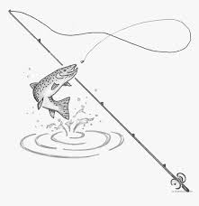 Tree black and white line art line clipart. Clip Art Clipart Black White Transparent Background Fishing Rod With Fish Drawing Hd Png Download Transparent Png Image Pngitem