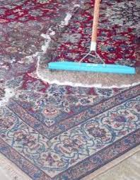 How To Clean An Area Rug Cleaning Area Rugs Carpet Cleaning Hacks Rug Cleaning