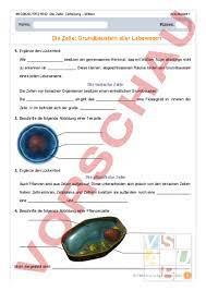 Arbeitsblatt mit lückentext zum thema atmung. Arbeitsblatt Mitose Biologie Genetik