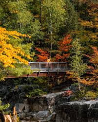 Choose from more than 24 properties, ideal house rentals for families, groups and couples. Must See Fall Foliage In New Hampshire New England Fall Foliage New England Fall Fall Foliage Trips