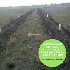 Kavling pilar cikarang dengan luas tanah 2 ha, cocok untuk pabrik / gudang, akses jalan mudah, bagus juga untuk investasi karena pada dasarnya nilai tanah setiap tahunnya cenderung dengan grafik naik. Jual Tanah Kavling Murah Di Cikarang Strategis Bisa Kredit Angsuran Ringan Di Bekasi Tribunjualbeli Com