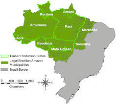 Explore more like map of brazil amazon. Map Of The Legal Brazilian Amazon Municipalities Dark Green With Grey Download Scientific Diagram