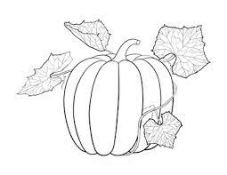 This thanksgiving printable belongs to these categories: 81 Best Autumn Fall Coloring Pages Free Pdf Printables For Kids