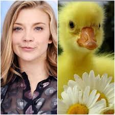 This duck reminds me of Jocelyn!🤣🤣🤣