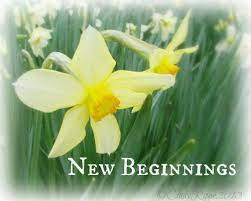 Florals Family Faith March Flower Of The Month Waiting For The Daffodil And New Beginnings March Birth Flowers Birth Month Flowers Birth Flowers