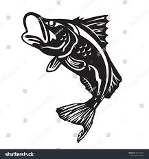The Barramundi Fish Jump Vector Art Design Ad Ad Jump Fish Barramundi Design Vector Art Design Vector Art Art Design