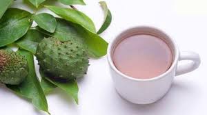 Jika diamalkan perut akan kempis. Pakai Jampi Jampi Daun Sirsak Dipercaya Bisa Hilangkan Angin Dalam Tubuh Warisan Turun Temurun Banjarmasin Post