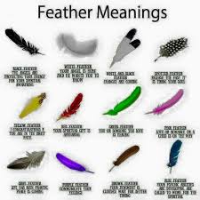 Feather Meanings Feather Meaning Feather Color Meaning