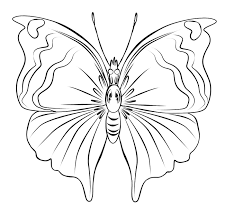 Memang banyak sekali macam 70 gambar sketsa kupu kupu terbang terlengkap. Download Mewarnai Gambar Kupu Kupu Alamendah S Blog