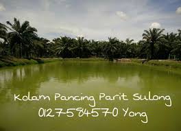 Kolam Pancing Seksyen 24 Facebook