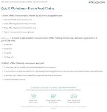 Food Web Worksheet Answers Food Chain Quiz Worksheet In 2020 Food Web Worksheet Food Web Worksheets