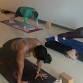 Elemental Power Yoga - Heated event image