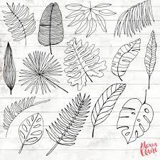 Sur 32 dessins de fleurs tropicales à découvrir. Feuille Tropicale Clipart 14 A La Main Dessine Feuille Etsy Art Tropical Dessin Dessin Adorable