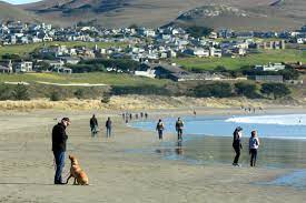Maybe you would like to learn more about one of these? A Day Trip To Bodega Bay Best Restaurants Beaches And Chowder Sonoma Magazine