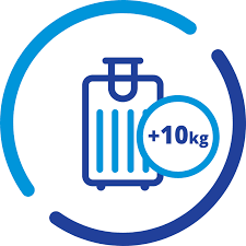 8.5 ridicarea si livrarea bagajului de cala. Bagaje