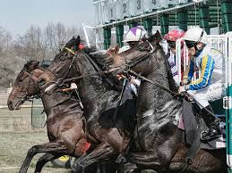 ❤ get the best wallpaper horse on wallpaperset. Hd Wallpaper Horse Race During Daytime Bremer Rennverein Horse Racing The Day Of The Race Wallpaper Flare