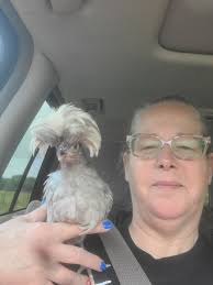 We got a new lady today !!