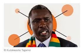 Zimbabwe Election Transparency and Trust Issues