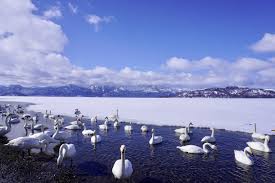 Lake Kussharo｜What to See & Do｜HOKKAIDO LOVE! -Hokkaido Official Tourism  Site