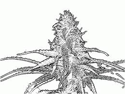The best free trippy coloring sheet image to download. 14 Pics Of Trippy Weed Coloring Book Pages Weed Coloring Pages Coloring Home