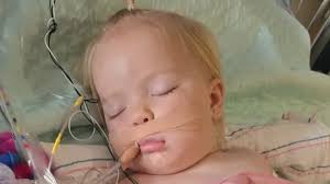 Florence toddler recovering after being bitten twice by a rattlesnake