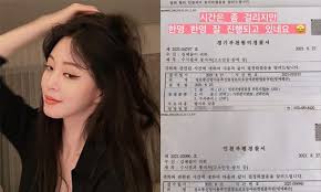 한예슬, '악플러 고소' 현황 공개…"잘 진행되고 있네요" - 세계일보