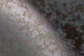 What is this buildup, and how can you remove it? Any Idea How To Remove This Build Up From Glass Shower Door Lifehacks Stack Exchange