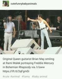 Freddie mercury's heartbreaking final words to fans as he says goodbye freddie mercury made his last ever public appearance 30 years ago at the 1990 brit awards and his physical appearance was a. 900 Yasss Queen Ideas In 2021 Queen Queen Band Queen Freddie Mercury