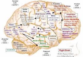Right Brain Brain Mapping Right Brain Craniosacral Therapy