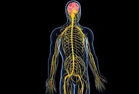 Image result for Paresthesia