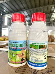 Iso one 40EC