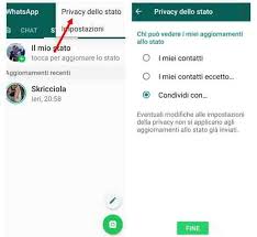 Le Migliori Frasi Da Mettere Come Stato Di Whatsapp Informarea