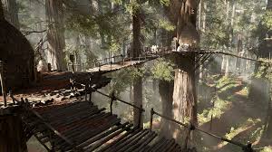 Check spelling or type a new query. Redwood Tree Wookieepedia Fandom