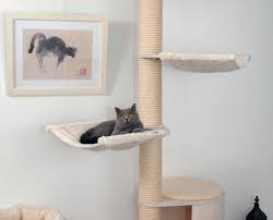 Cats like to climb stuff so we're going to build a floor to ceiling cat scratching post. Ceiling Cat Post For Individually Ceilings With Our Modular System