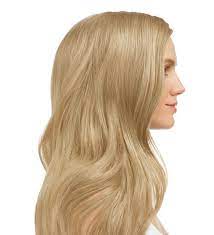 Esalon Color Profile Review Hair Colour Design Light Blonde At Home Hair Color