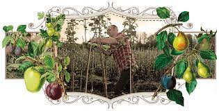 Keepers nursery is a family business established in the early 1980's. Buy Fruit Trees Online Nationwide Delivery Heritage Fruit Tree Nursery