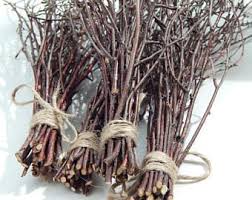 Birch Tree Branches For Sale Extra Long Birch Twigs Birch Twigs Birch Tree Branches Etsy In 2020 Birch Branches Birch Tree Decor Birch Wood Decor