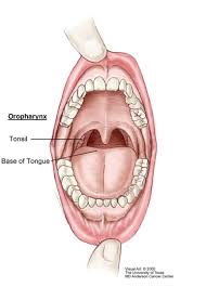 Image result for papillomavirus tongue)