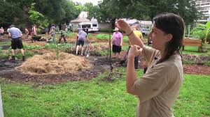 The permaculture principles and ethics guide the permaculture process; Permaculture Paradise Edgewood Gardens Fruit Trees Planting Part 2 Youtube